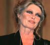 L'actrice possédait toujours en nom propre plusieurs immeubles et appartements de prestige à Paris.

Archives Brigitte Bardot. Photo par JLPPA / Bestimage