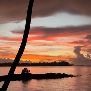 Instagram @antoinedupont9