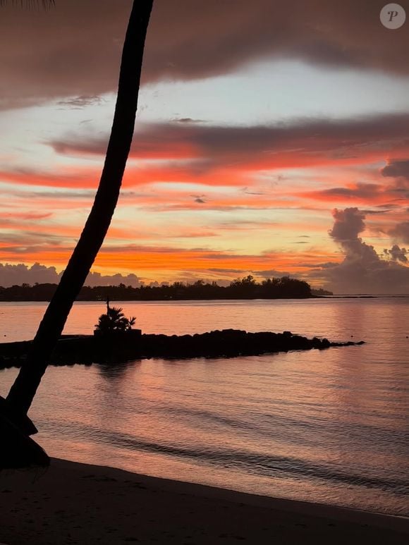 Instagram @antoinedupont9