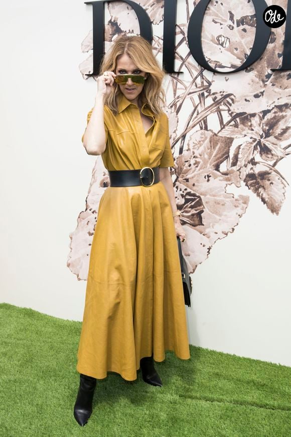 En effet, Céline Dion a collaboré avec Pierre Hermé sur "une édition limitée de coffrets de macarons"

Céline Dion lors du photocall du défilé de mode Haute-Couture automne-hiver 2017/2018 "Christian Dior" à l'Hôtel des Invalides à Paris, le 3 juillet 2017 © Olivier Borde/Bestimage