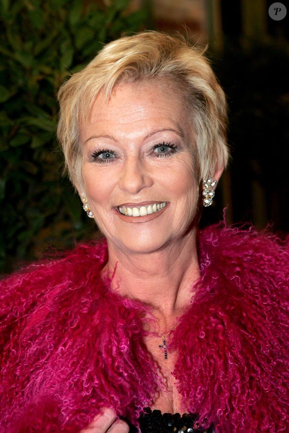 L'actrice française Evelyne Leclercq assiste au gala annuel de la Ligue contre le cancer qui se tient au Théâtre des Champs-Elysées à Paris, France, le 25 octobre 2004. Photo de Laurent Zabulon/ABACA.