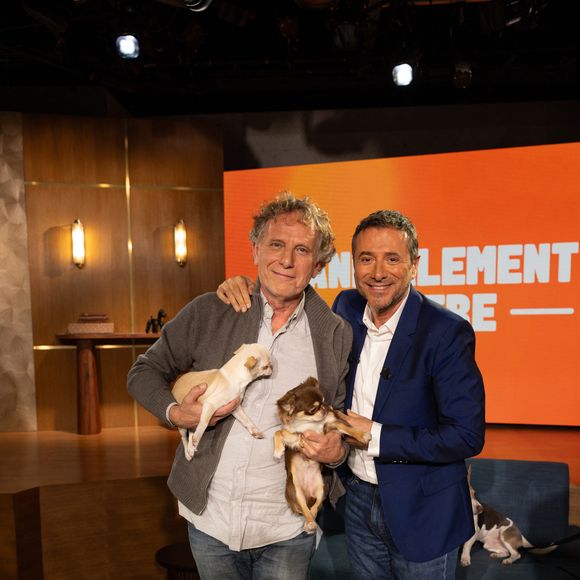 Il en a également profité pour faire une demande aux téléspectateurs : "Mangez-en moins, c’est très récent qu’on mange beaucoup de viande et beaucoup de poissons."


Bernard Montiel, Raphaël Mezrah, Oli. avec Charles Berling et Charles Edouard Fusari invités, Olivia Juriste et Sylvain Vétérinaire sur plateau de l'émission "Animalement Vôtre" présentée par Bernard Montiel à Paris, France, le 12 janvier 2026. © Julien Sarkissian/Bestimage