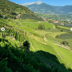 Zidane, ambassadeur de ce lieu d'exception, a également suivi des cures detox et il a bénéficié des conseils de médecins sur ce lieu très réputé