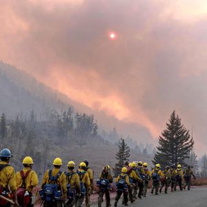 Incendie dans la forêt nationale de Shasta Trinity, Californie, Etats-Unis © Usfs/Planet Pix/Zuma Press/Bestimage