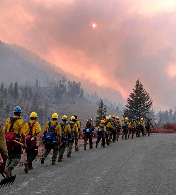 Incendie dans la forêt nationale de Shasta Trinity, Californie, Etats-Unis © Usfs/Planet Pix/Zuma Press/Bestimage