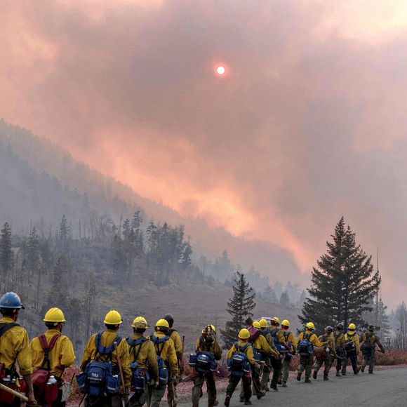 Incendie dans la forêt nationale de Shasta Trinity, Californie, Etats-Unis © Usfs/Planet Pix/Zuma Press/Bestimage