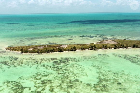 Exclusif -  Vues aériennes de Blackadore Caye, l'île privée au large des côtes du Belize que l'acteur et environnementaliste Leonardo DiCaprio a achetée en 2015 pour 1,75 million de dollars. L'île est bordée de palmiers mourants et le rivage est recouvert d'algues vertes à Blackadore Caye, au Belize, le 5 juin 2021. Coleman-Rayner / Bestimage
