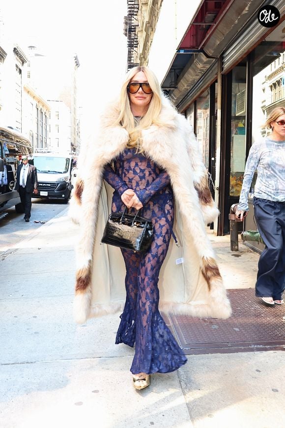 Exclusif - La chanteuse Kesha, à New York, avec son Birkin noir. 

© Bestimage