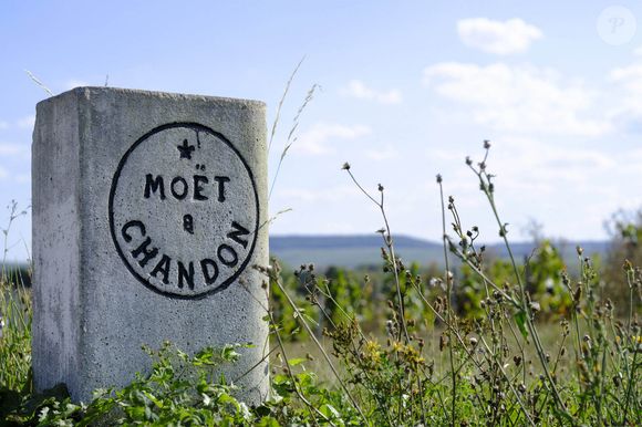 Aÿ-Champagne (51) : borne Moet et Chandon dans les vignobles, les coteaux historiques du vignoble de Champagne sont inscrits au Patrimoine Mondial de l'UNESCO. Moet et Chandon est une marque du groupe de luxe LVMH - Photo by Monasse T/ANDBZ/ABACAPRESS.COM