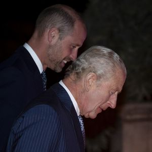 Le roi Charles III et le prince de Galles assistent à l'événement Countdown to Cop30, organisé conjointement par le Natural History Museum et le gouvernement britannique au London Museum. Cet événement rassemble les acteurs de la lutte contre le changement climatique et la perte de la nature, en amont du sommet de la Cop30 qui se tiendra à Belém, au Brésil, en novembre. Jeudi 9 octobre 2025. Photo par Henry Nicholls/PA Wire/ABACAPRESS.COM