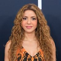 Shakira, aux anges aux Grammy Awards, apparaît avec ses deux fils Milan et Sasha qui ont bien grandi