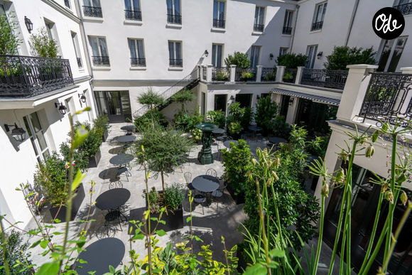 En cuisine, le chef bellifontain Robin Sanchez propose une carte bistronomique saisonnière et entièrement faite maison.

Le restaurant "Le Cadran" rouvre ses portes à l'hôtel Napoléon, à Fontainebleau.