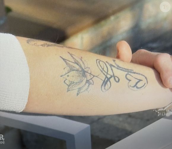 "Je suis tatouée. J'aurai pu t'écrire que j'étais tatouée mais il y a une raison à ces tatouages. C'est que c'était thérapeutique", a expliqué Isabelle, avant de montrer son avant-bras droit recouvert d'encre indélébile en hommage à ses derniers animaux de compagnie.

Isabelle se confie à Jean-Louis dans "L'amour est dans le pré"