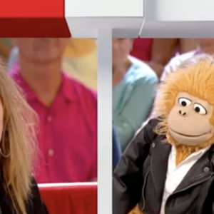 "Vivement dimanche", 7 septembre 2025 @ Captures d'écran France 3