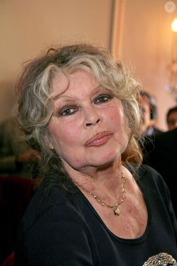 La légende française Brigitte Bardot pose lors de la célébration de son double anniversaire, les 20 ans de son association 'Fondation Brigitte Bardot', qui lutte pour les droits des animaux et son propre anniversaire. La fête s'est déroulée au théâtre Marigny à Paris, France, le 28 septembre 2006. Photo by Denis Guignebourg/ABACAPRESS.COM