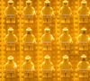 L'héritière investit massivement dans la protection de l'environnement.

Sofie Kirk Kristiansen, héritière du créateur de Lego, dépense sa fortune à sa façon.
