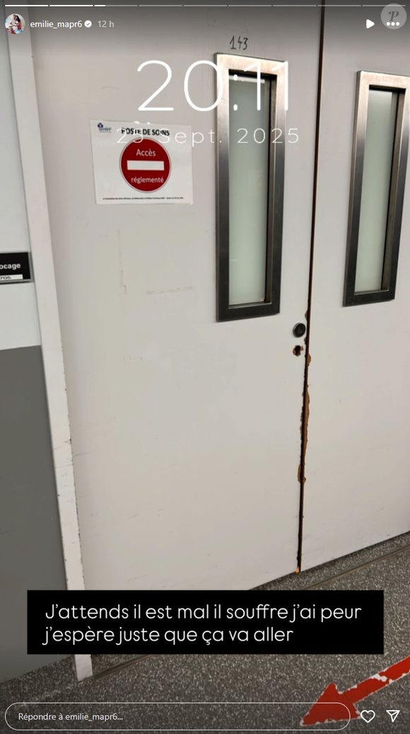 C'est alors qu'Emilie partage son angoisse pour les semaines à venir : elle devra gérer son aînée Lina, son accouchement, sa césarienne, l'arrivée de sa deuxième fillette ainsi que les soucis de santé de son amoureux...

Emilie (Mariés au premier regard) enceinte et très angoissée alors que son compagnon est hospitalisé.