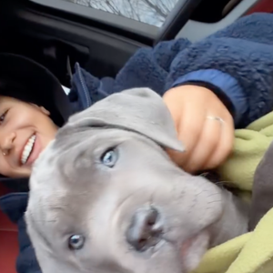 La chanteuse a adopté Kurt, un chien découvert lors d’un simple rendez-vous d’information.

Capture Instagram - Vitaa