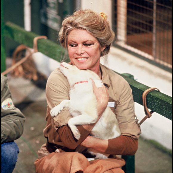 "En guise d’hommage national, ils n’ont qu’à créer un secrétariat d'État à la cause animale et mettre fin à cette horreur qu’est l'hippophagie."

Archives - Brigitte Bardot visite un local de la SPA. © Frederic Herve / Bestimage