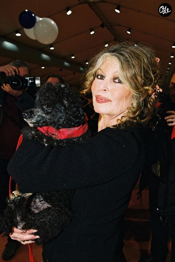 Archives - Brigitte Bardot.

© Backgrid UK/ Bestimage