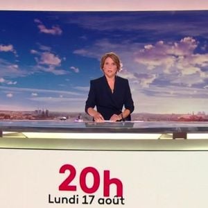 Capture d'écran du journal de 20 Heures sur France 2