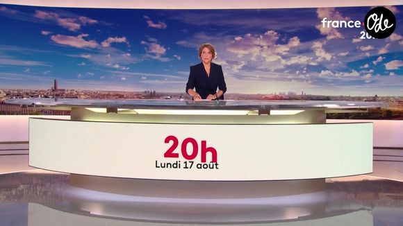 Capture d'écran du journal de 20 Heures sur France 2