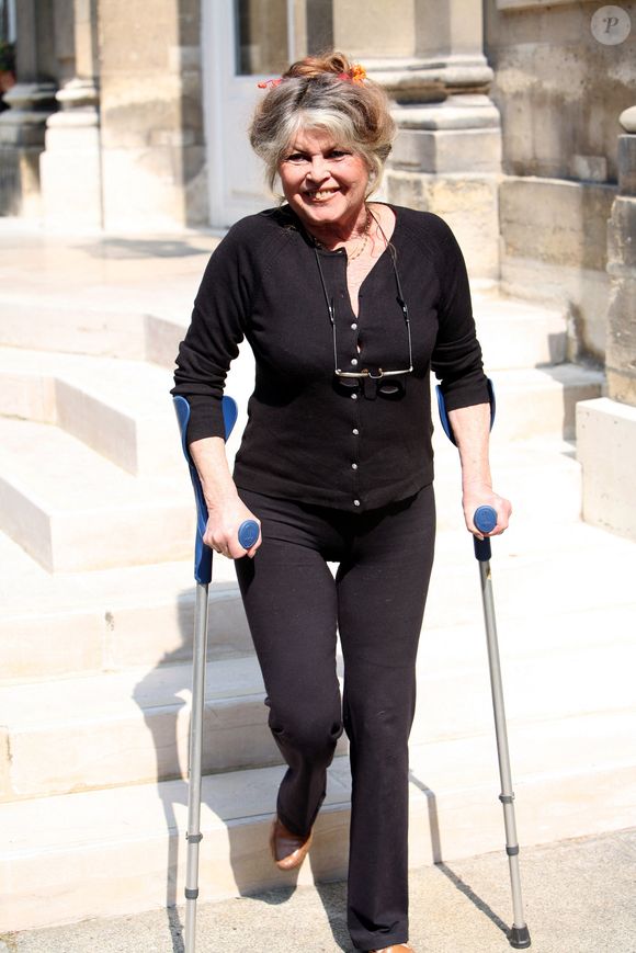 Elle précise que le déplacement de ses animaux n’a aucun lien avec sa santé.

Brigitte Bardot rencontre au nom de son association le ministre de l'agriculture Dominique Bussereau le 11 mai 2006  © JSB/Pixplanete/Bestimage