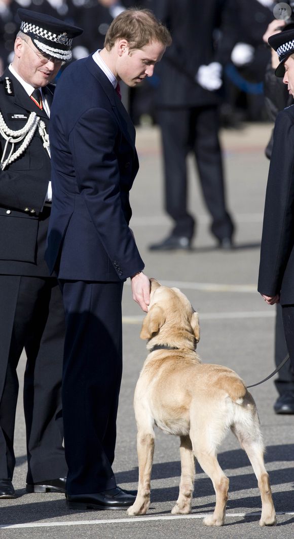Le Prince William en 2009. 

Photo : Goff INF / Bestimage