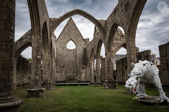 Illustration de l'île de Batz 
Crédit : Instagram