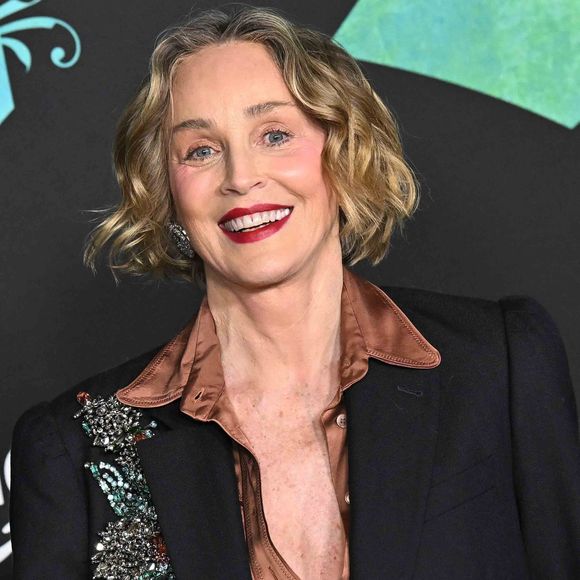 Michael Stone avait lui aussi travaillé dans le cinéma et la télévision, apparaissant notamment dans CSI: Miami, Amour, Gloire et Beauté et plusieurs films américains. 

LOS ANGELES, CALIFORNIE - 17 FÉVRIER : Sharon Stone assiste à la première mondiale de "THE BLUFF" au TCL Chinese Theater le 17 février 2026 à Los Angeles, Californie.