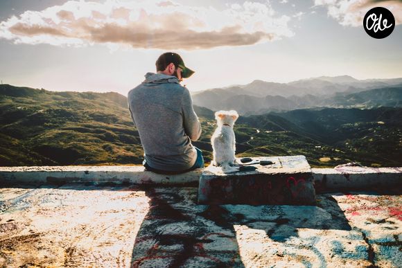 Parler à son animal peut aider certaines personnes à exprimer leurs émotions et à créer des rituels affectifs.

Photo prise par Xan Griffin / Unsplash