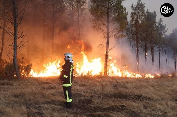 Les pompiers sur la commune de Saint-Jean d'Illac - Les Las en Gironde le 26 juillet 2026. 

 © Jean-Marc Lhomer/Bestimage