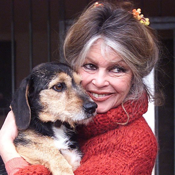 © Nice Matin/ABACA. 14675-2. Brigitte Bardot.