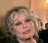 Alors que la France a fait face à des températures extrêmement élevées ces derniers jours, Brigitte Bardot a pris la parole samedi 5 juillet 2025.
La légende française Brigitte Bardot pose lors de la célébration de son double anniversaire : les 20 ans de sa Fondation Brigitte Bardot, qui lutte pour la cause animale, et son propre anniversaire. La soirée a eu lieu au Théâtre Marigny à Paris, le 28 septembre 2006. Photo : Denis Guignebourg/ABACAPRESS.COM