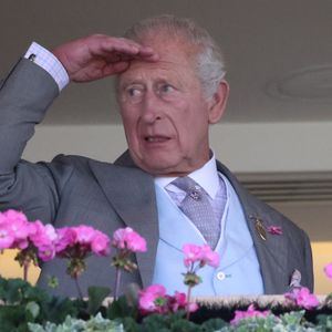 L'attitude de Charles III pose problème

Le roi Charles III d'Angleterre à Royal Ascot © Tim Merry/MirrorPix/Bestimage