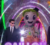 Il a été contraint de se démasquer

Le Caillou dans Mask Singer 9 - capture d'écran TF1