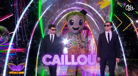 Il a été contraint de se démasquer

Le Caillou dans Mask Singer 9 - capture d'écran TF1