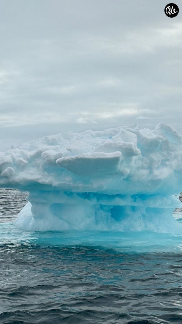 Au fil de son expédition, il a immortalisé un spectaculaire glacier aux reflets bleutés.

Extrait du compte Instagram de François Roelants.

© Instagram / François Roelants