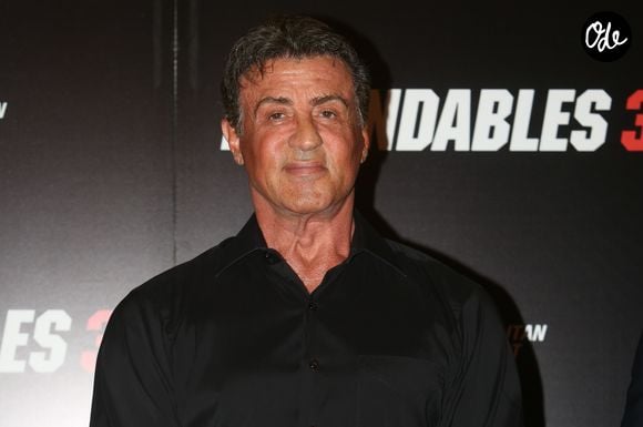 Sylvester Stallone - L'équipe du film "Expendables 3" lors d'un photocall à l’hôtel George V à Paris , le 7 août 2014. © Veeren -Christophe Clovis / Bestimage