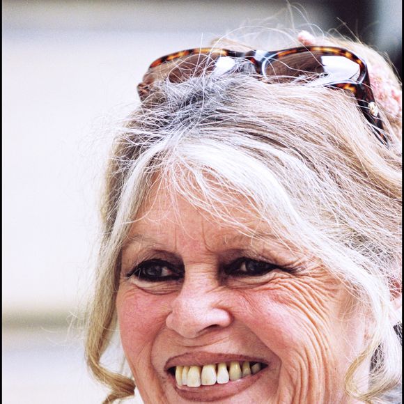 Archives - Brigitte Bardot plaide la cause des animaux auprès de Lionel Jospin à Matignon. DANIEL GIRY / BESTIMAGE