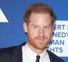 Le prince Harry est en froid avec le reste de la famille royale britannique

Le prince Harry au photocall de la soirée de gala "Robert F. Kennedy Human Rights Ripple of Hope 2022" à l'hôtel Hilton de New York City, New York, Etats-Unis

Crédit : Photo Press Service / BESTIMAGE
