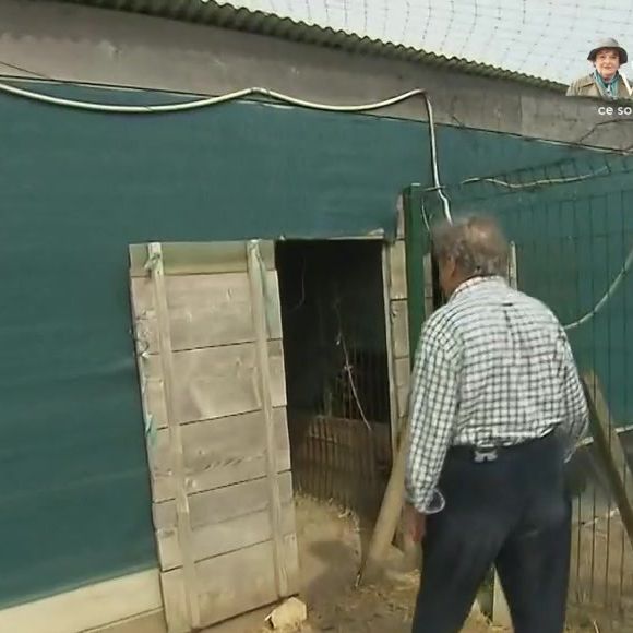 Pierre Perret dans sa maison de Nangis, en Seine-et-Marne, son havre de paix avec piscine. Les images ont été diffusés dans "Vivement dimanche" sur France 3, le 16 novembre 2025.

Photo : Capture d'écran / France 3