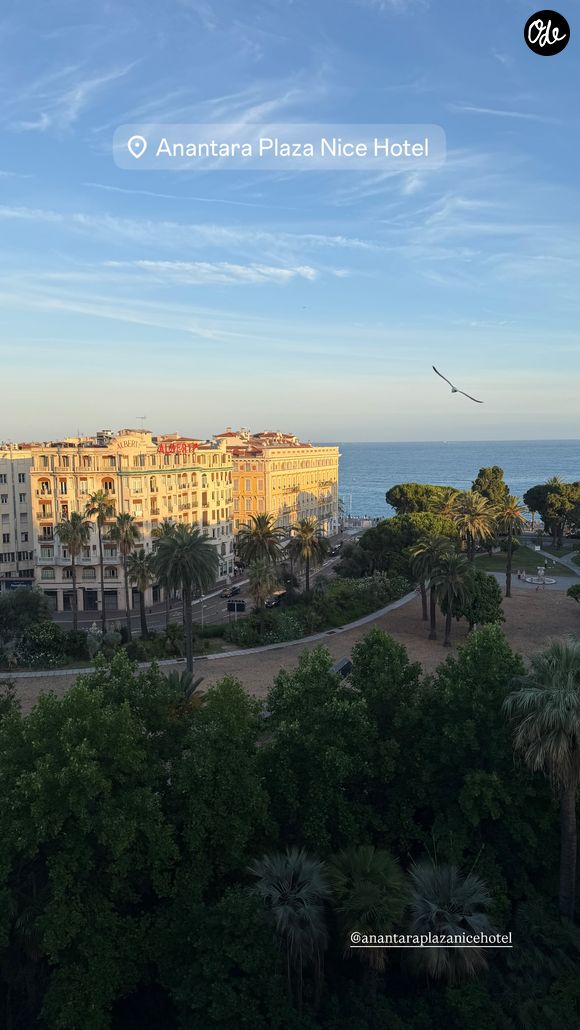 L'une des stars de "L'Agence" explore là un nouveau joyau azuréen, alliant plaisir et obligations professionnelles comme toujours.

Martin Kretz de passage à Nice dans un prestigieux palace 5 étoiles.