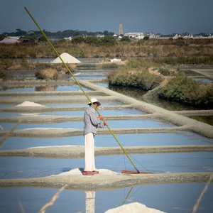 Illustration de l'île de Batz 
Crédit : Instagram