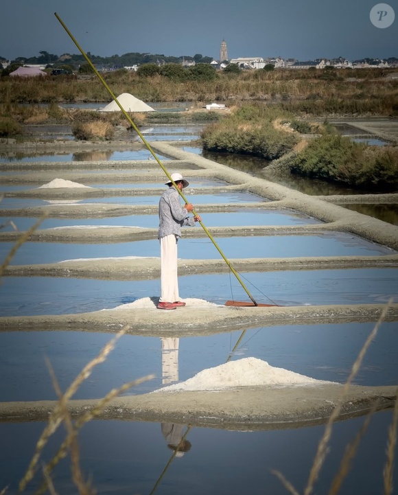 Illustration de l'île de Batz 
Crédit : Instagram