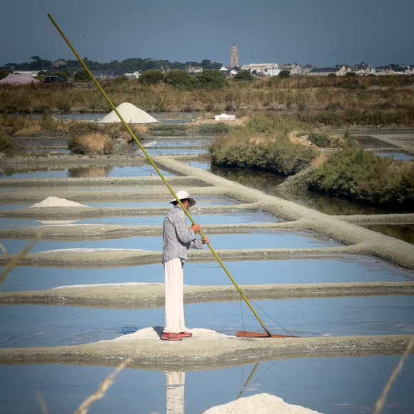Illustration de l'île de Batz 
Crédit : Instagram