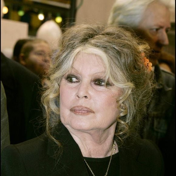 Selon Nice Matin, elle séjournerait depuis plusieurs semaines à l’hôpital privé Saint-Jean.

Brigitte Bardot au "Noel des animaux 2004" à Levallois Perret

Agence Bestimage