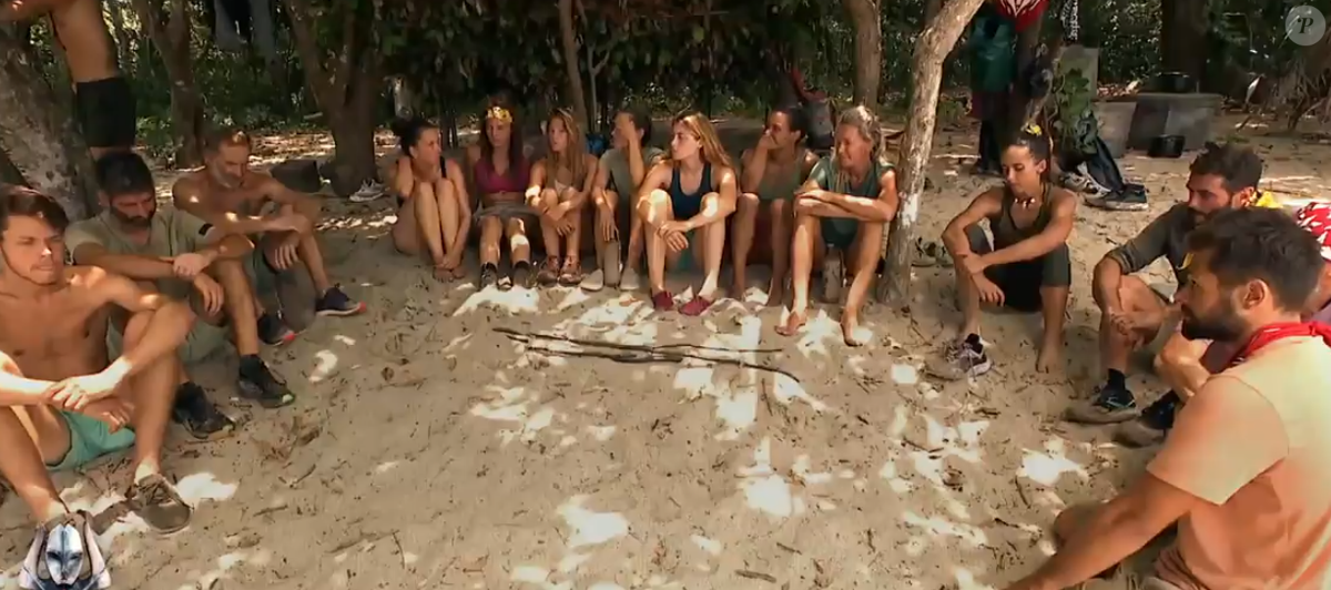 Réunification mouvementée dans Koh-Lanta 2025 : un éliminé surprenant, des noms  d'oiseau ont fusé ! - Purepeople