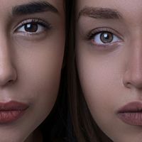 Avoir des sourcils parfaits est plus facile qu'il n'y paraît et il suffit de suivre quelques étapes simples !