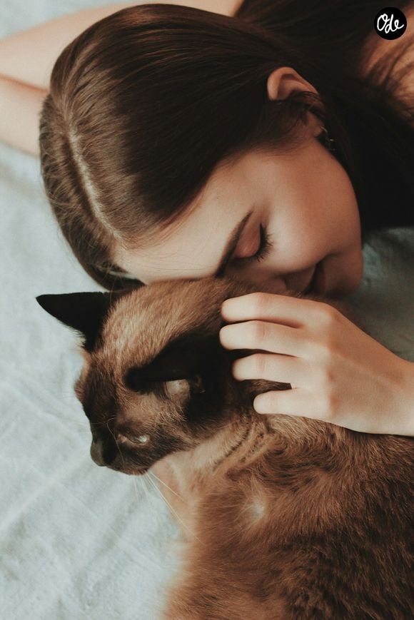 Contrairement à une croyance répandue, il n'existe pas de nombre de chats à partir duquel il faudrait s'inquiéter. 

Oleg Ivanov /Unsplash